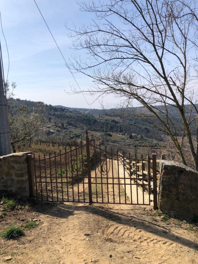 Podere Soccorso Casa Vigneto 蒙塔尔奇诺 外观 照片