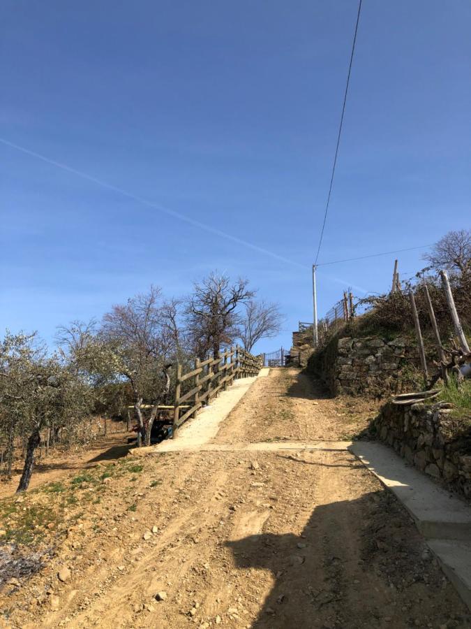 Podere Soccorso Casa Vigneto 蒙塔尔奇诺 外观 照片