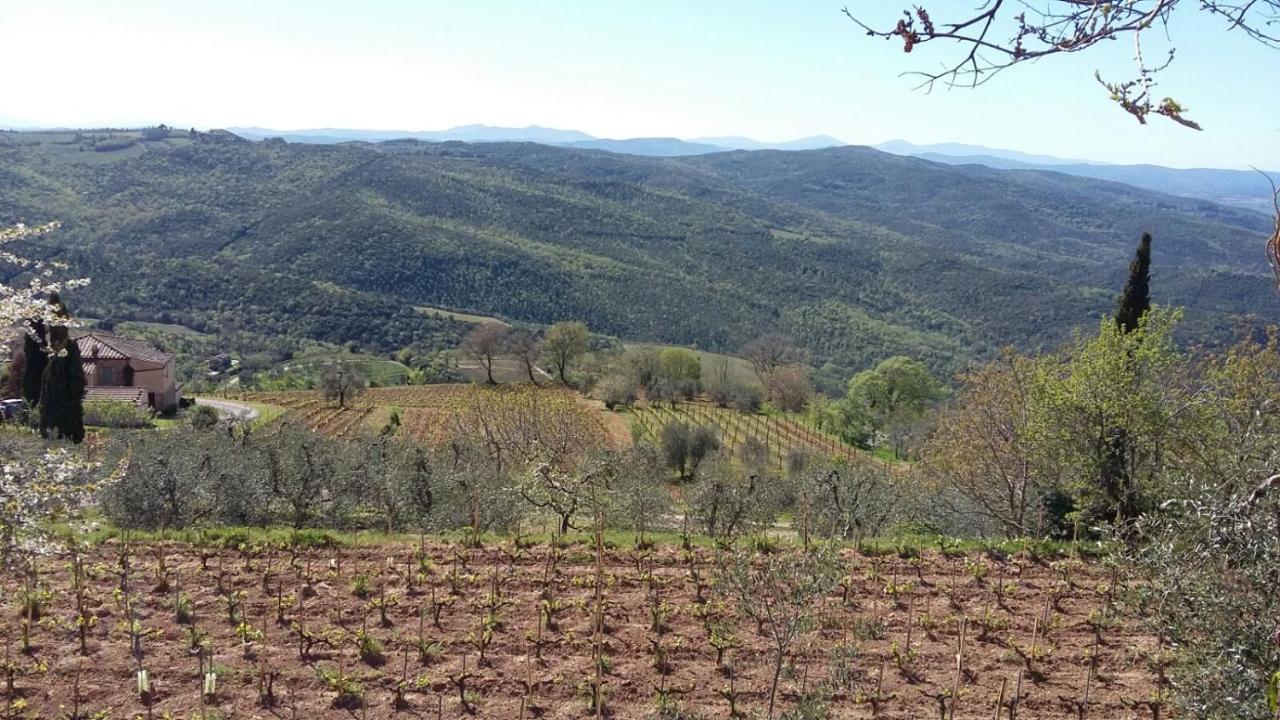 Podere Soccorso Casa Vigneto 蒙塔尔奇诺 外观 照片